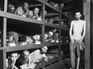 These are slave laborers in the Buchenwald concentration camp near Weimar; many had died from malnutrition when U.S. troops of the 80th Division entered the camp. The very ill man lying at the back on the lower bunk is Max Hamburger, who had TBC and severe malnutrition. He recovered and became a psychiatrist in the Netherlands. Second row, seventh from left is Elie Wiesel. Photograph taken 5 days after rescue.