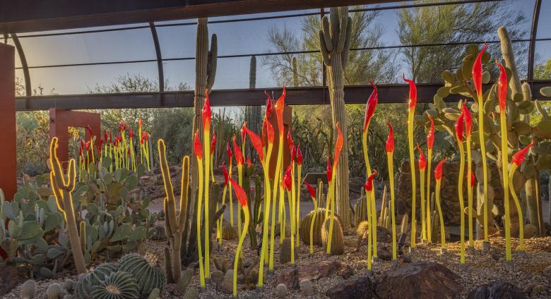 Dale Chihuly, Paintbrushes, 2021, Desert Botanical Garden, Phoenix © 2021 Chihuly Studio. All rights reserved. Photo by Nathaniel Willson.