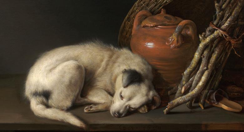 Gerrit Dou, Sleeping Dog, 1650.