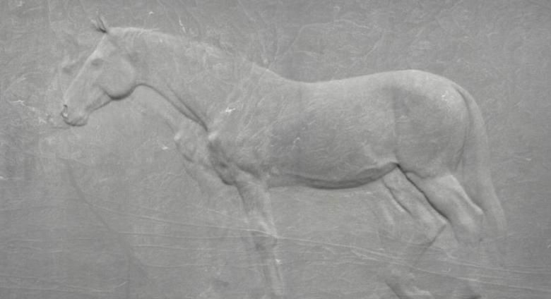 Charles Ray sculpture Two Horses bas relief in Granite, The ten-by-fourteen-foot granite relief by the acclaimed artist portrays two horses in profile, one fully articulated and a second figure behind it that is partially seen, evoking a ghost-like presence