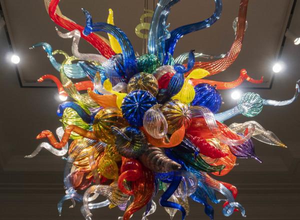 Dale Chihuly glass sculpture of organic forms in primary colors