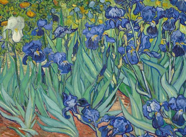 Vincent van Gogh, Irises, May 1889.